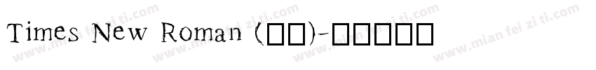 Times New Roman (正文)字体转换